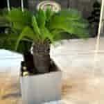 WhatsApp Image 2023-06-14 at 11.41.55 (1)
